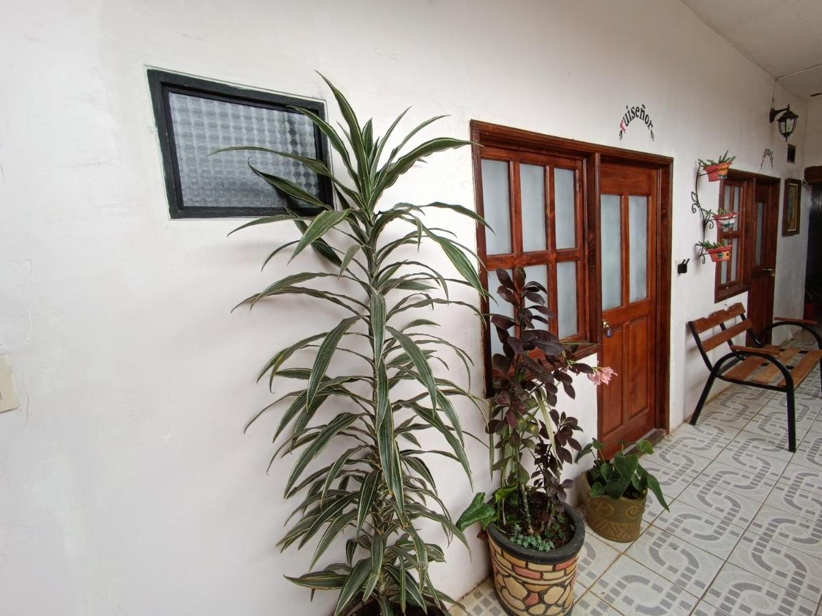 Casa Petirrojo - Habitaciones En Pátzcuaro 外观 照片